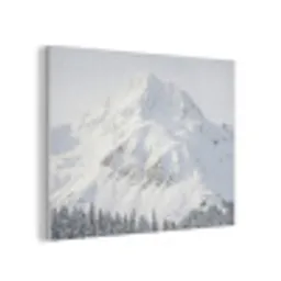 Berg - Sneeuw - Winter - Natuur - Wit PET vilt klein -3d
