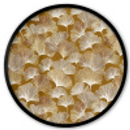 Ginkgo - Bladeren - Goud Fotolijst rond zonder passe partout klein 856 -3d