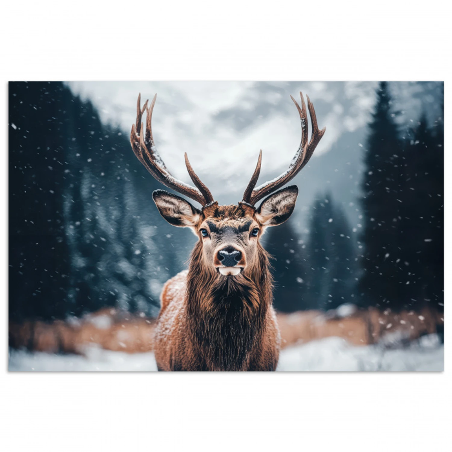 Hert - Dieren - Landschap - Winter - Sneeuw poster papier klein -3d