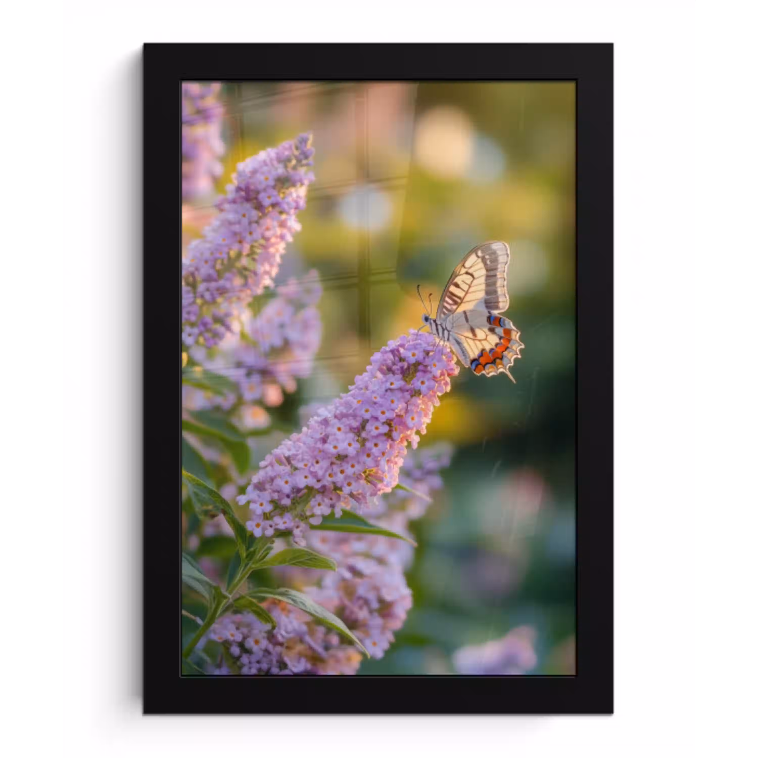 Sierlijke - Vlinder - Paarse - Bloemen fotolijst zwart zonder passe partout klein -3d