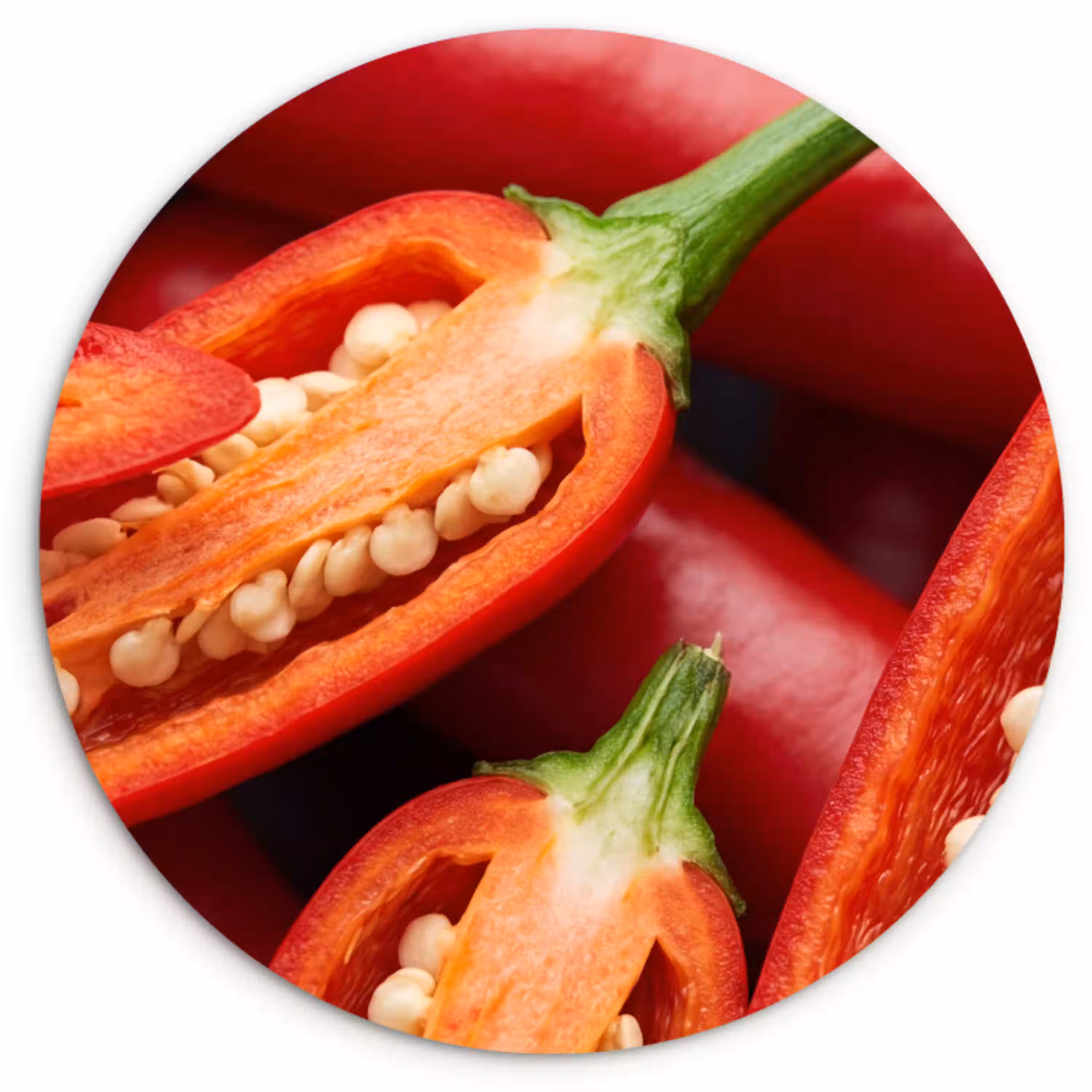 Chilipeper - Open - Rood Wandcirkel plexiglas klein -3d