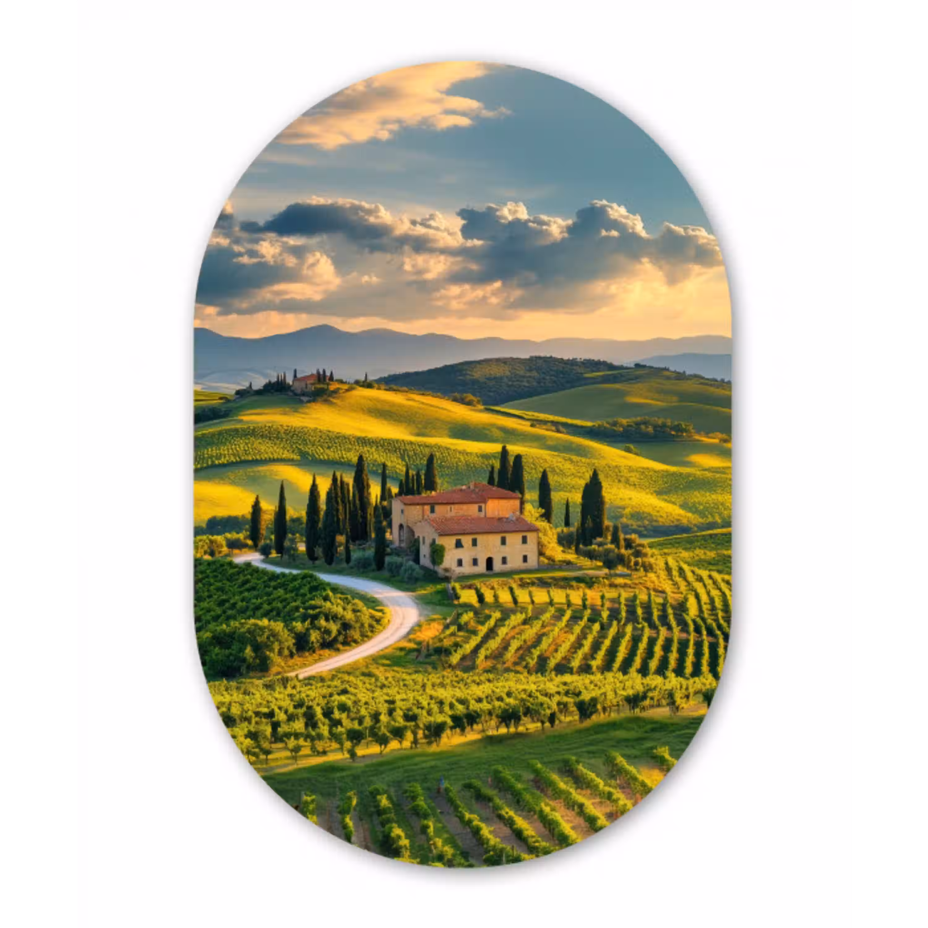 Toscane - Landschap - Wijngaarden Wandcirkel Ovaal Aluminium middel -3d