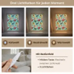 Teckels - Zwembad - Kleurrijk Light Box met kabel (Tafellamp) klein 925 -USP_lichtkleurDE