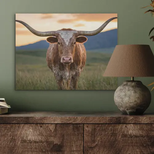 Longhorn - Landschap - Zonsondergang PET vilt klein -sfeer2