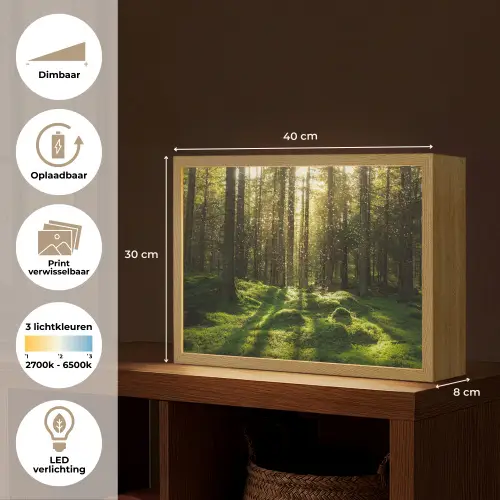 Bomen - Bos - Mos - Planten - Zon - Natuur Light Box met batterij (Wandlamp) middel -USP_websiteoverzichtNL