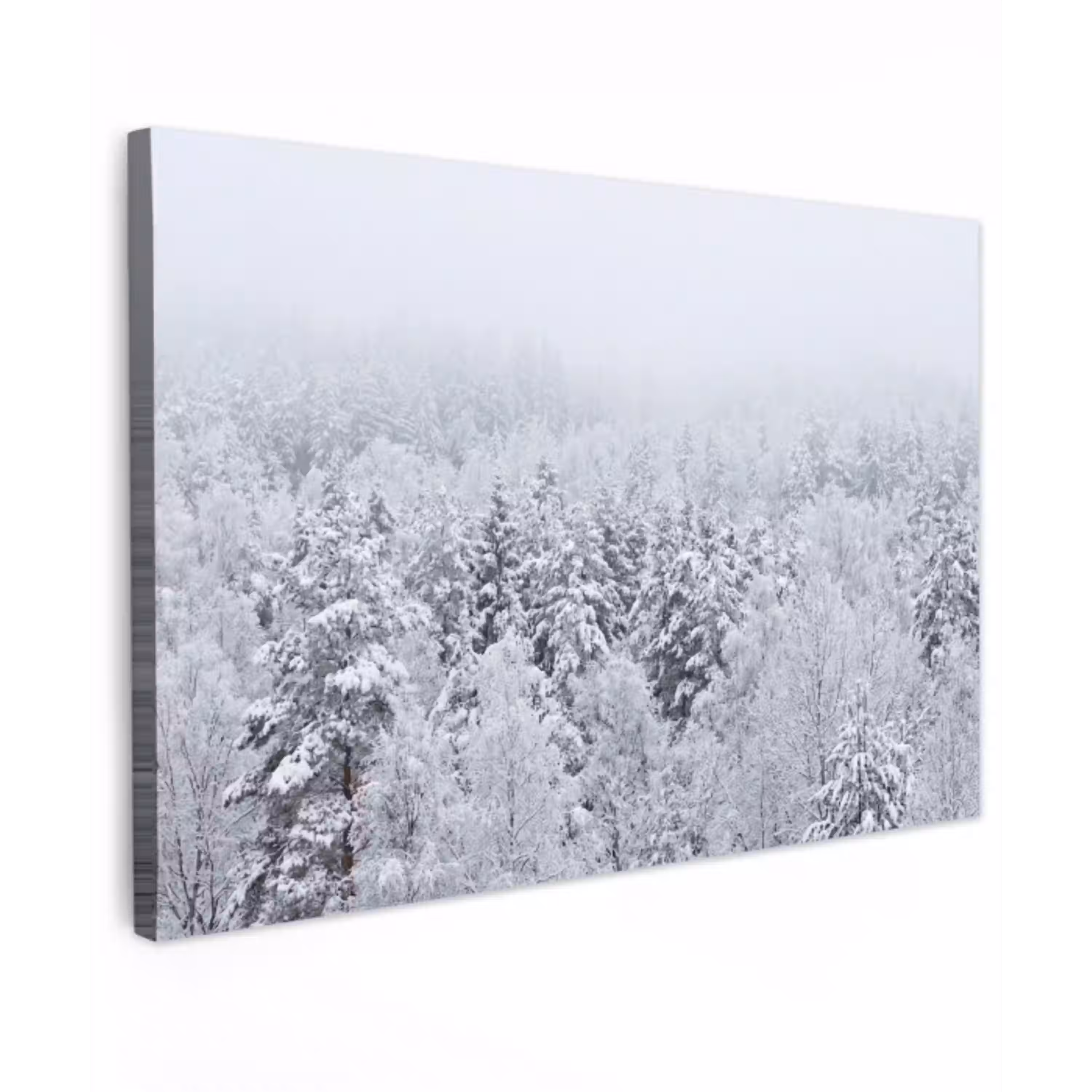 Bos - Sneeuw - Winter - Natuur - Wit Tuinposter op houten frame 2 cm dik klein -3d