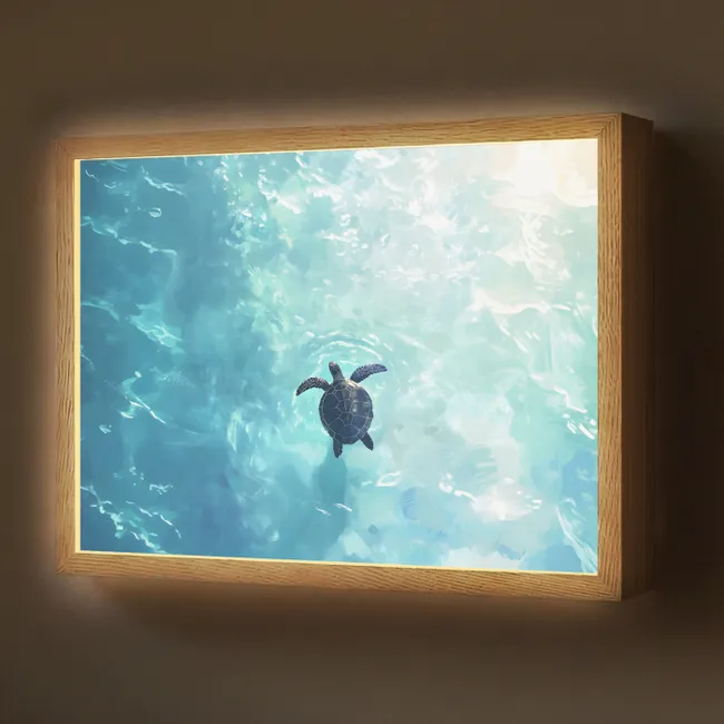 Lightbox - Wandlamp - Schildpad - Zee - Blauw - Schittering