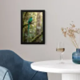 Quetzal - Jungle - Natuur - Groen fotolijst zwart zonder passe partout klein -sfeer4