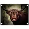 Schotse hooglander - Licht - Portret - Natuur tuinposter los doek klein -3d