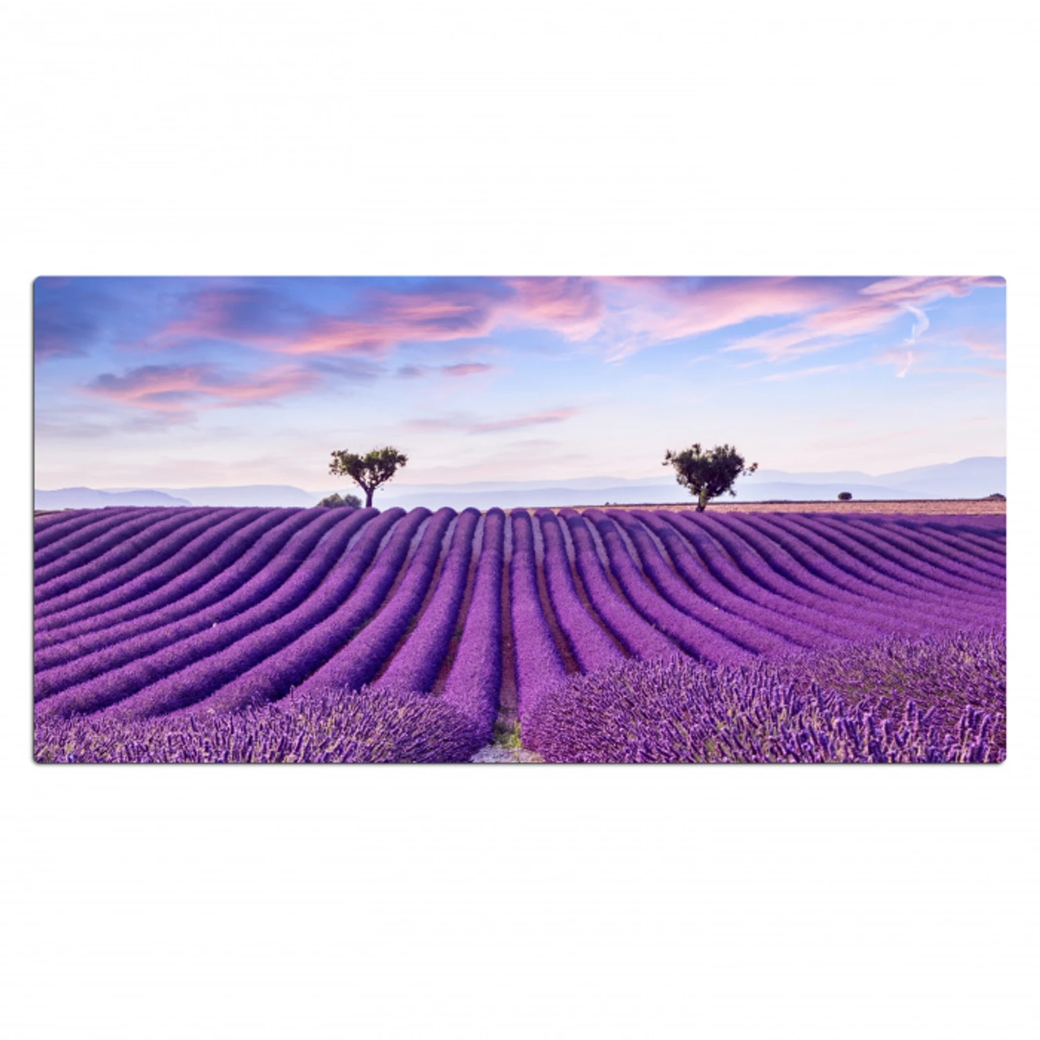 lavendel-natuur-paars-bomen-bloemen Muismat XXL klein -3d_leeg