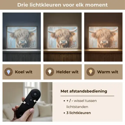 Schotse hooglander - Dieren - Koe - Street art Light Box met batterij (Wandlamp) middel -USP_lichtkleurNL