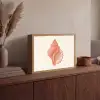 Schelp - Roze - Structuur Light Box met batterij (Wandlamp) middel -sfeer2