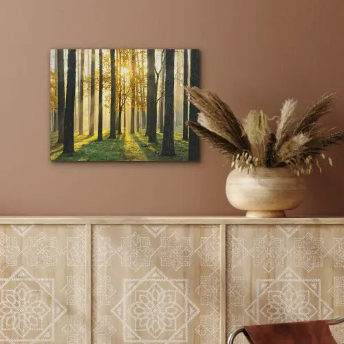 Bos - Zon - Bomen - Gras - Landschap  - Natuur PET vilt klein -sfeer4