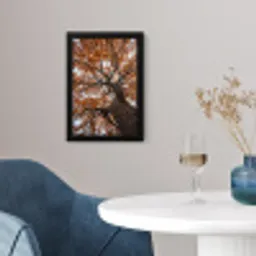 Boom - Bladerdak - Herfst - Oranje - Sfeervol fotolijst zwart zonder passe partout klein -sfeer4