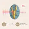 Kreeft - Geel - Blauw - Tegels Akoestische PET Vilt - Rond klein -USP_NL