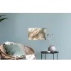 Hazestaartgras - Wit - Zonlicht Muursticker klein -plant