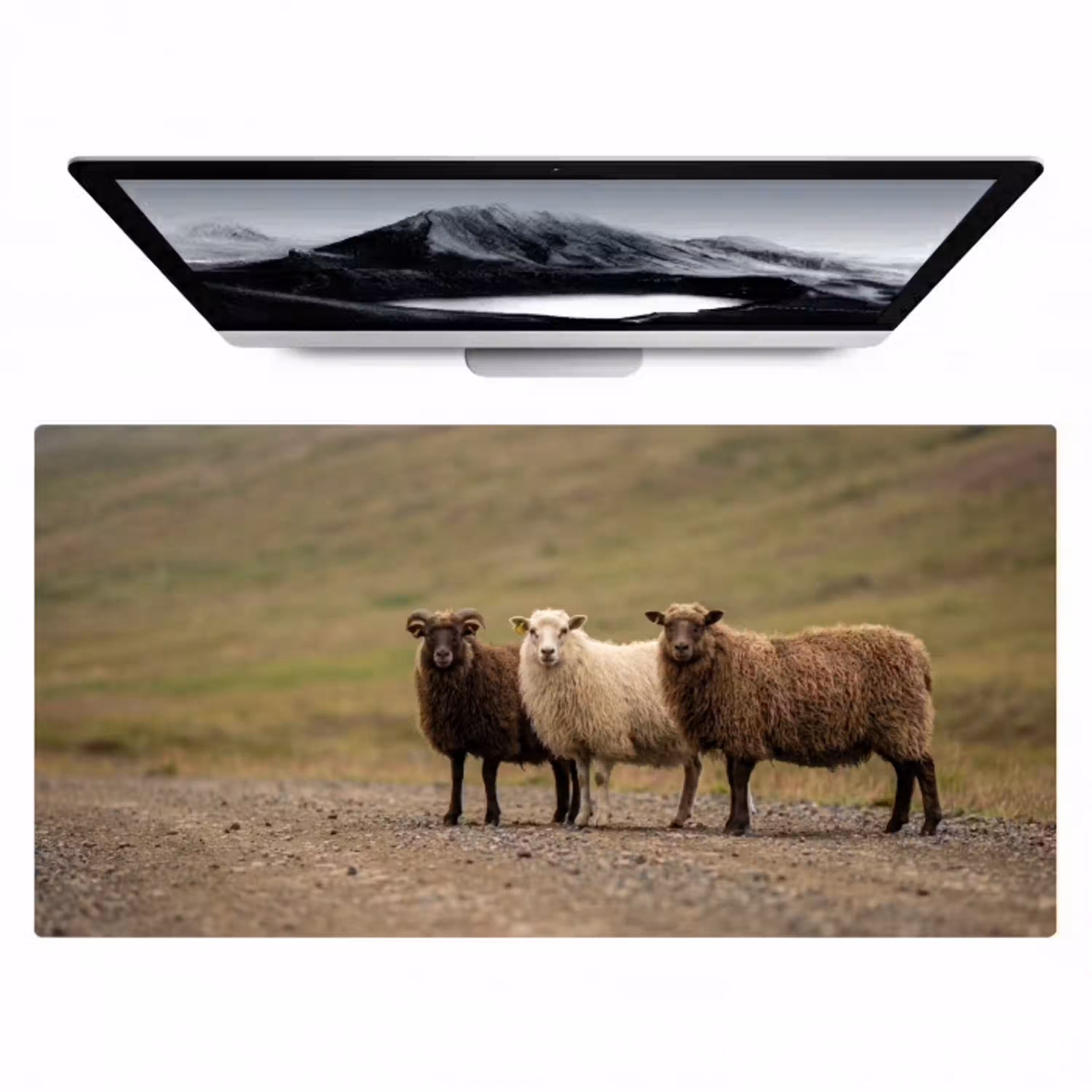 Schapen - Bruin - Wit - Grindpad Muismat XXL klein -zzz3d