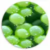 Druiven - Groen - Druppels Wandcirkel plexiglas klein 852 -3d