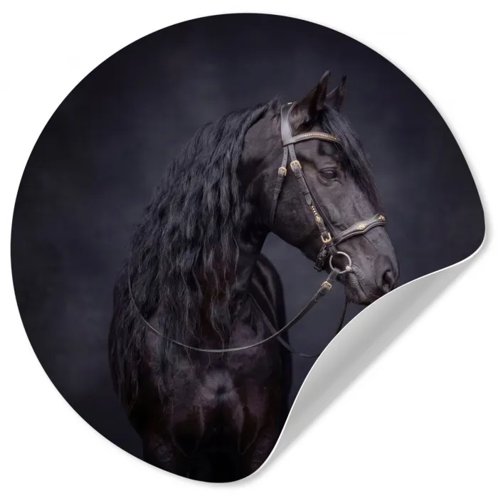 Portret - Paard - Donker Wandcirkel behangsticker klein -3d