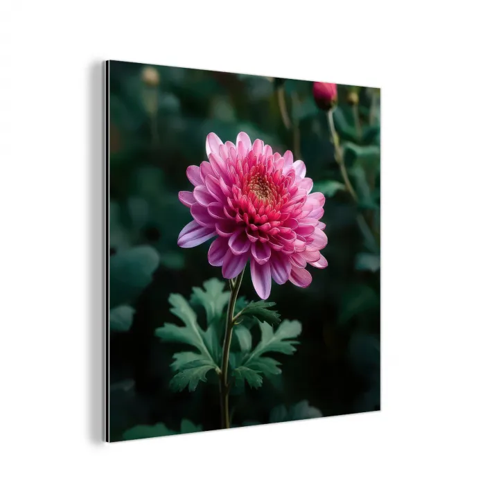 Blad - Chrysant - Roze - Schaduw aluminium wit klein -3d