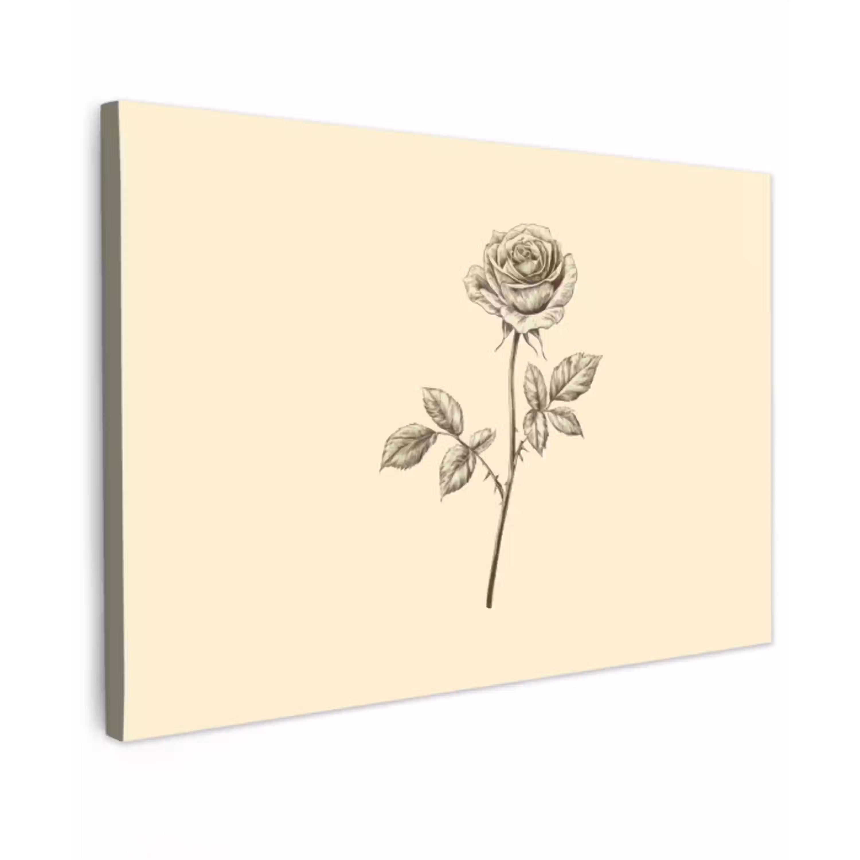 Illustratie - Zwart - Roos Tuinposter op houten frame 2 cm dik klein -3d