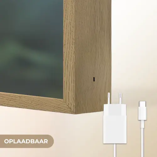 Bloemblaadjes - Afrikaan - Oranje - Wazig Light Box met batterij (Wandlamp) middel -USP_websiteoplaadbaarNL