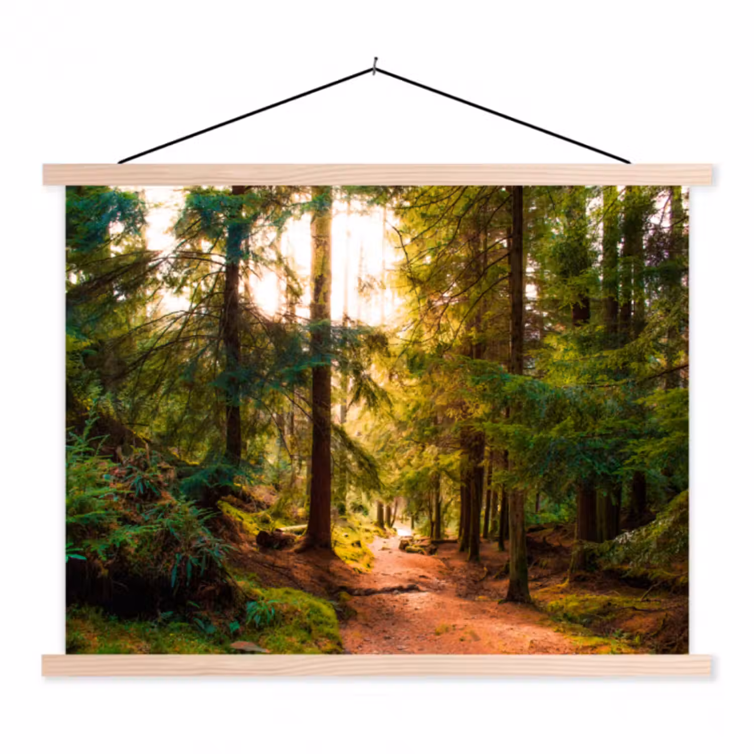 Stoffbild - Wald - Weg - Bäume - Grün - Sonne - Natur