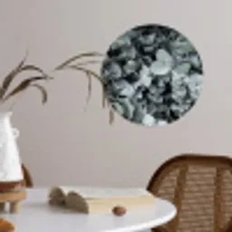Natuur - Planten - Eucalyptus - Bladeren Wandcirkel behangsticker klein -sfeer3