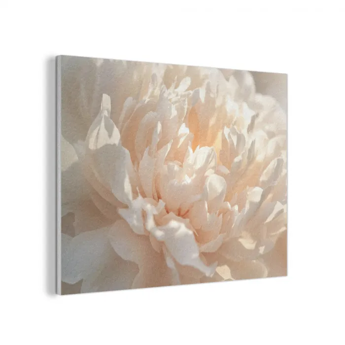 Close up - Pioenroos - Lichtroze PET vilt klein -3d