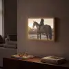Harmonie - Ruiter - Zon Light Box met batterij (Wandlamp) middel -sfeer1