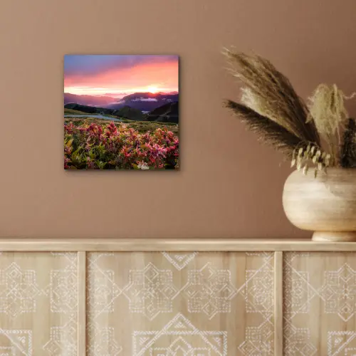 Bloemen - Bergen - Landschap - Nacht - Lucht - Roze aluminium wit klein -sfeer4