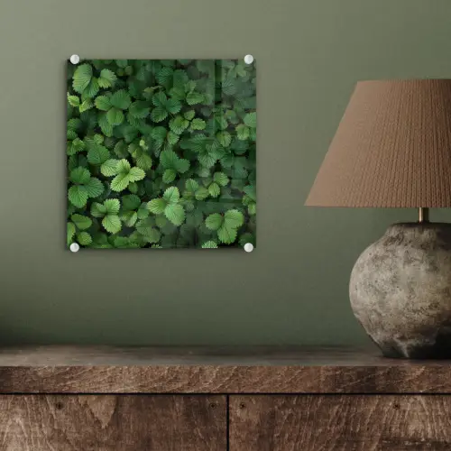 Groen - Bladeren - Kartel - Zonlicht plexiglas 5mm klein -sfeer3
