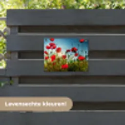 Klaprozen in ochtendlicht tuinposter los doek klein -sfeer3