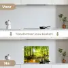Bos - Landschap - Water - Bomen - Zon - Groen - Natuur keuken achterwand spatscherm klein -voor_na_NL