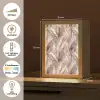 Pampasgras - Pluizig - Kleurrijk Light Box met kabel (Tafellamp) klein 925 -USP_NL