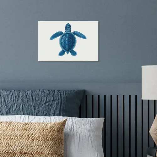 Schildpad - Blauw - Schild poster papier klein -sfeer2