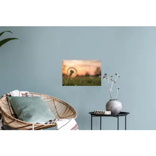 Paardenbloem - Zonsondergang - Veld Muursticker klein -plant