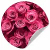 Rozen - Pink - Bloem Wandcirkel behangsticker klein -3d