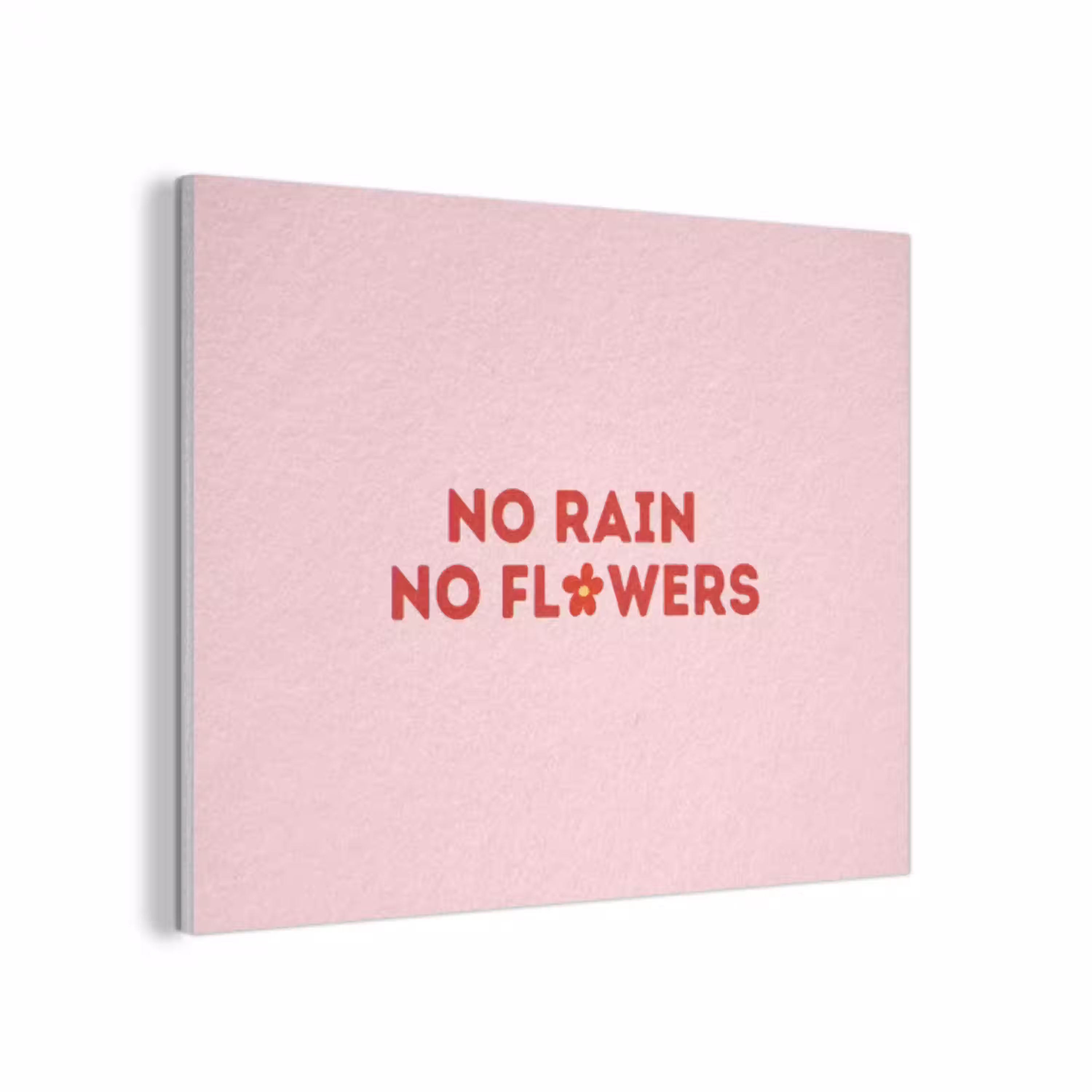 No rain no flowers - Minimalistisch - Roze - Bloem PET vilt klein -3d
