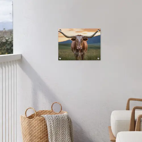Longhorn - Landschap - Zonsondergang tuinposter los doek klein -sfeer8
