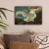 De bedreigde zwaan - Schilderij van Jan Asselijn canvas 2cm klein -sfeer1