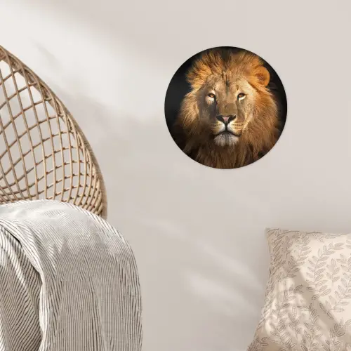 Leeuw - Dieren - Zwart - Licht - Bruin - Portret Wandcirkel behangsticker klein -sfeer4