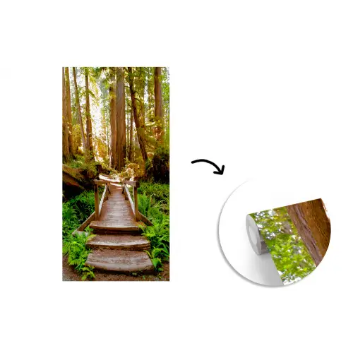Jungle - Natuur - Trap - Bomen fotobehang vinyl groot -3d