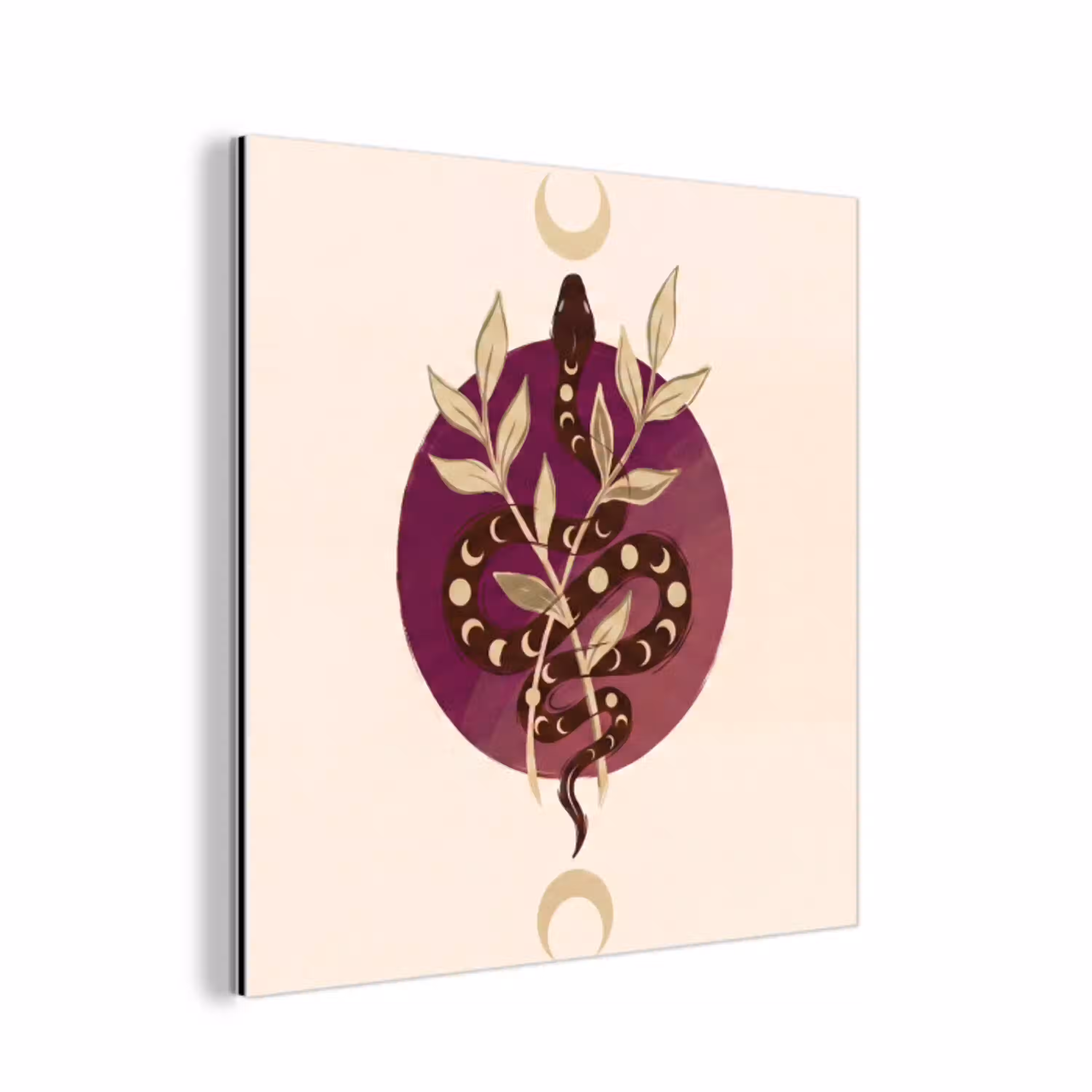 Dieren - Slang - Maan - Mystiek - Abstract aluminium wit klein -3d