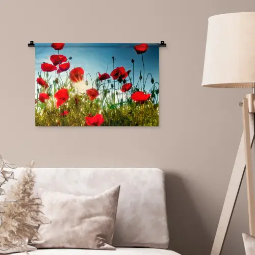 Klaprozen - Toscane - Zon - Rood - Blauw Wandkleed katoen klein -sfeer4