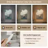 Hoed - Vrouw - Beige Light Box met kabel (Tafellamp) klein -USP_lichtkleurNL
