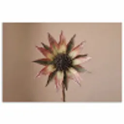 Droogbloem - Protea - Vintage - Beige - Rustiek poster papier klein -3d
