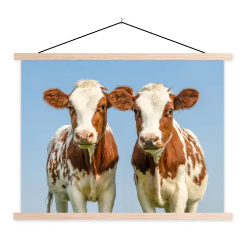 Koeien - Lucht - Dieren - Boerderij - Portret textielposter latten blank klein -3d