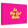 Quote - Retro - Roze Textielframe zwart klein -3d