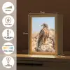 Valk - Vogel - Rots - Macht Light Box met kabel (Tafellamp) klein -USP_NL